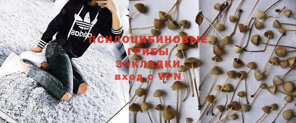 героин Кукмор